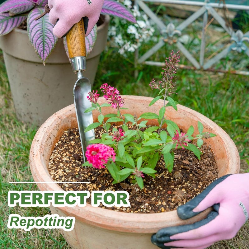 Haliaeetus Seeding Widger, Stainless Steel Garden Planting Trowel for Repotting, Long and Narrow Widger for Weeding from Tight Areas, Hand Transplanter with Wood Handle for Planting, Weeding, Digging - Image 3